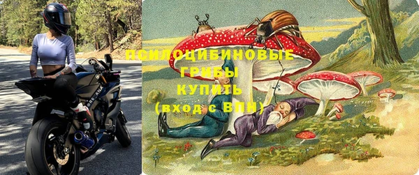 мдпв Алзамай