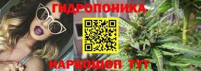 гидропоника Аргун