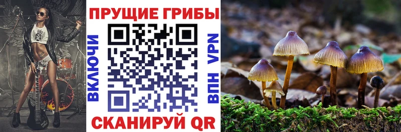 Галлюциногенные грибы MAGIC MUSHROOMS OMG сайт Ачинск