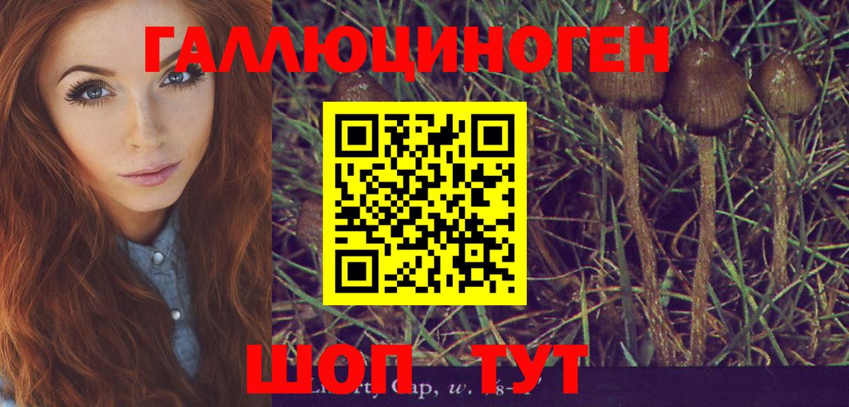 Галлюциногенные грибы мухоморы Ачинск