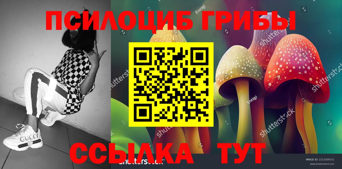 Ачинск  купить наркотик  Вход с VPN  Галлюциногенные грибы ЛСД  Галлюциногенные грибы мухоморы 